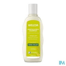 Load image into Gallery viewer, Weleda Milde Shampoo Freq. Gebr. Pluimgierst 190ml