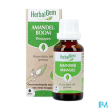 Afbeelding in Gallery-weergave laden, Herbalgem Amandel Bio 30ml