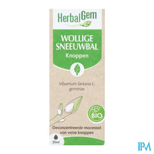 Afbeelding in Gallery-weergave laden, Herbalgem Sneeuwbal Bio 30ml