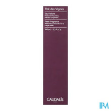 Afbeelding in Gallery-weergave laden, Caudalie Fris Water The Des Vignes 100ml