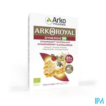 Afbeelding in Gallery-weergave laden, Arkoroyal Dynergie Amp 20