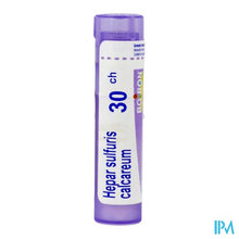Afbeelding in Gallery-weergave laden, Hepar Sulfuris Calcareum 30k Gr 4g Boiron