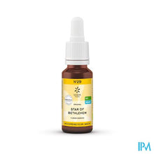 Charger l'image dans la galerie, Bachbloesem Bio N29 Star Of Bethlehem 20ml