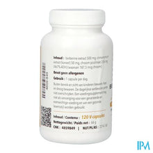 Afbeelding in Gallery-weergave laden, Berberine Forte V-caps 120 Pharmanutrics