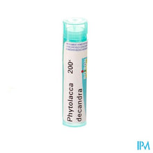Afbeelding in Gallery-weergave laden, Phytolacca Decandra 200k Gr 4g Boiron
