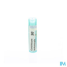 Afbeelding in Gallery-weergave laden, Colchicum Autumnale 30k Gr 4g Boiron