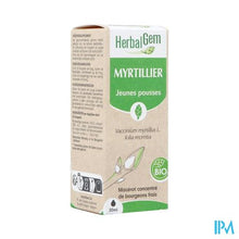 Charger l'image dans la galerie, Herbalgem Blauw Bosbes Bio 30ml