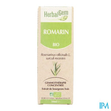 Afbeelding in Gallery-weergave laden, Herbalgem Rozemarijn Maceraat 50ml