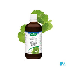 Charger l'image dans la galerie, A.vogel Geriaforce Geheugen Druppels 100ml