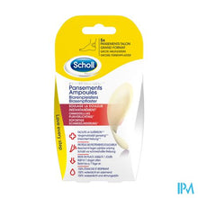Charger l'image dans la galerie, Scholl Blarenpleister Grote Hielpleist. Z/latex 5