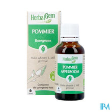 Charger l'image dans la galerie, Herbalgem Appelboom Bio 30ml