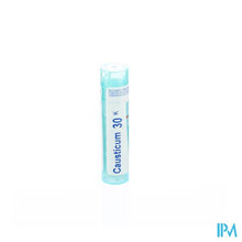 Afbeelding in Gallery-weergave laden, Causticum Hahnemanni 30k Gr 4g Boiron