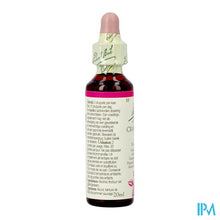 Afbeelding in Gallery-weergave laden, Bach Flower Remedie 10 Crab Apple 20ml