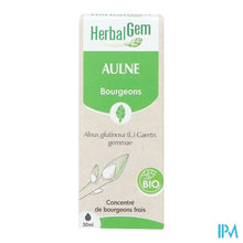 Afbeelding in Gallery-weergave laden, Herbalgem Els Bio 30ml