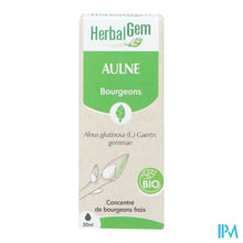 Load image into Gallery viewer, Herbalgem Els Bio 30ml