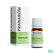 Load image into Gallery viewer, Pranarom Eo Duizendblad 5ml