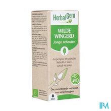 Afbeelding in Gallery-weergave laden, Herbalgem Wilde Wingerd Bio 30ml