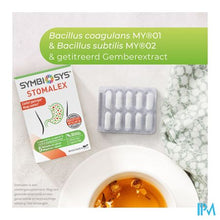 Load image into Gallery viewer, Stomalex Symbiosys Caps 30