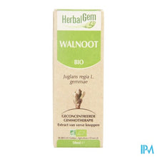 Charger l'image dans la galerie, Herbalgem Walnoot Maceraat 50ml