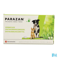 Load image into Gallery viewer, Parazan Comp 100