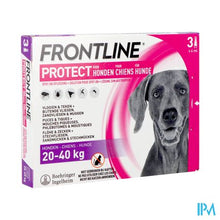 Afbeelding in Gallery-weergave laden, Frontline Protect Spot On Opl Hond 20-40kg Pipet 3