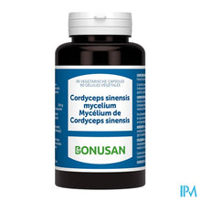 Afbeelding in Gallery-weergave laden, Cordyceps Sinensis Mycelium Caps 90 Bonusan