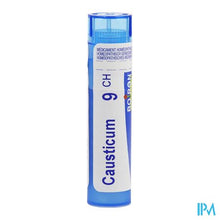 Afbeelding in Gallery-weergave laden, Causticum Hahnemanni 9ch Gr 4g Boiron