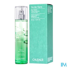 Load image into Gallery viewer, Caudalie Fris Water Eau Des Vignes 50ml