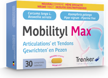 Afbeelding in Gallery-weergave laden, Mobilityl Max Tabl 30 Nf