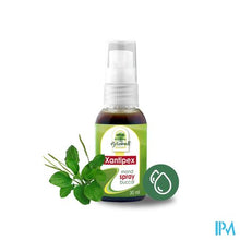 Afbeelding in Gallery-weergave laden, Fytobell Xantipex Mondspray 30ml