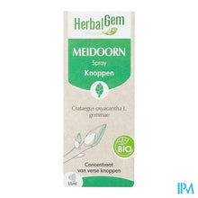 Load image into Gallery viewer, Herbalgem Meidoorn Bio Spray 15ml
