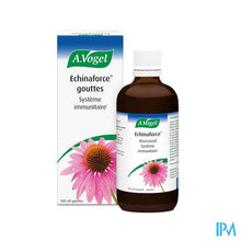 Load image into Gallery viewer, A.Vogel Echinaforce 100ml