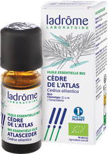 Afbeelding in Gallery-weergave laden, Ladrome Cedrus Atlantica - Atlasceder 10ml