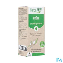 Afbeelding in Gallery-weergave laden, Herbalgem Heermoes Bio 30ml