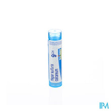 Charger l'image dans la galerie, Hepar Sulfuris Calcareum 9ch Gr 4g Boiron