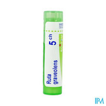 Afbeelding in Gallery-weergave laden, Ruta Graveolens 5ch Gr 4g Boiron