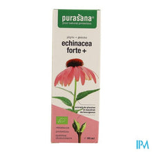 Afbeelding in Gallery-weergave laden, Purasana Vegan Echinacea Forte+ 50ml