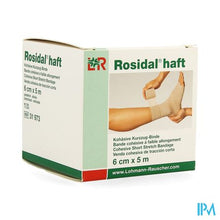 Afbeelding in Gallery-weergave laden, Rosidal Haft Cohesieve Windel 6cmx5m 1 31973