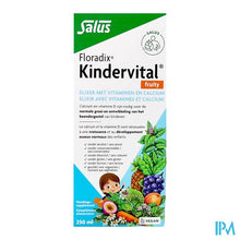 Afbeelding in Gallery-weergave laden, Floradix Kindervital Fruity 250ml