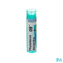 Charger l'image dans la galerie, Phytolacca Decandra 9ch Gr 4g Boiron