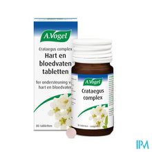 Afbeelding in Gallery-weergave laden, A.vogel Crataegus Complex Tabl 80