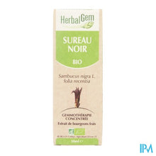 Charger l'image dans la galerie, Herbalgem Vlierbes Maceraat 50ml