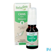 Afbeelding in Gallery-weergave laden, Herbalgem Zwarte Bes Bio Spray 15ml