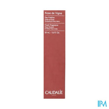 Afbeelding in Gallery-weergave laden, Caudalie Eau Fraiche Rose De Vigne 50ml Nf