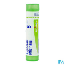 Charger l'image dans la galerie, Euphrasia Officinalis 5ch Gr 4g Boiron