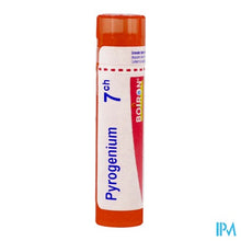 Afbeelding in Gallery-weergave laden, Pyrogenium 7ch Gr 4g Boiron