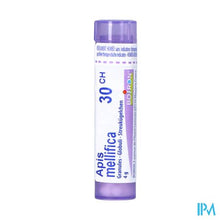 Afbeelding in Gallery-weergave laden, Apis Mellifica 30ch Gr 4g Boiron