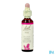 Charger l'image dans la galerie, Bach Flower Remedie 24 Pine 20ml