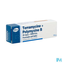 Afbeelding in Gallery-weergave laden, Terramycine Ung Derm 15g