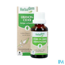 Afbeelding in Gallery-weergave laden, Herbalgem Ceder Bio 30ml